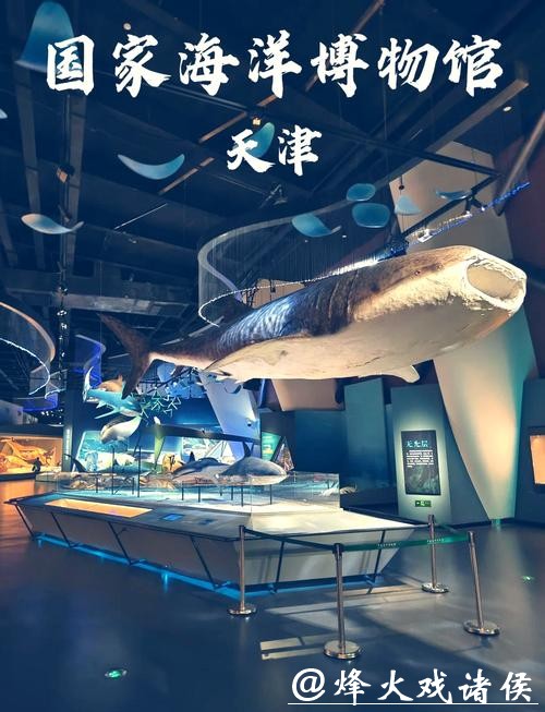 穿越46亿年 《重返海洋》科学艺术展在国家海洋博物馆启幕 穿越46亿年 《重返海洋》科学艺术展在国家海洋博物馆启幕